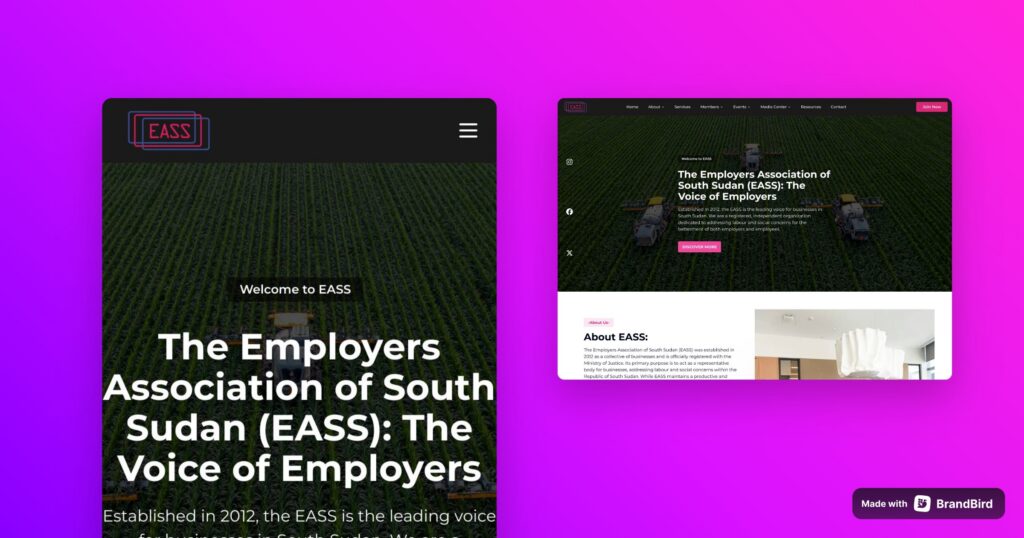 EASS: Employers Association Of South Sudan